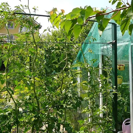 Hévíz -alsópáhok Villa-erika *