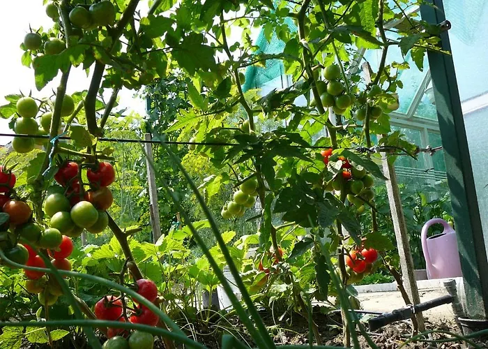 דירה Heviz -alsopahok Villa-erika *