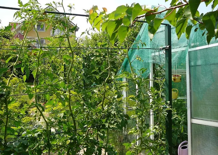 Heviz -alsopahok Villa-erika *